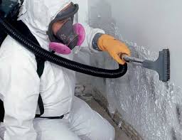 Best Mold Documentation for Insurance Claims  in Skokie, IL